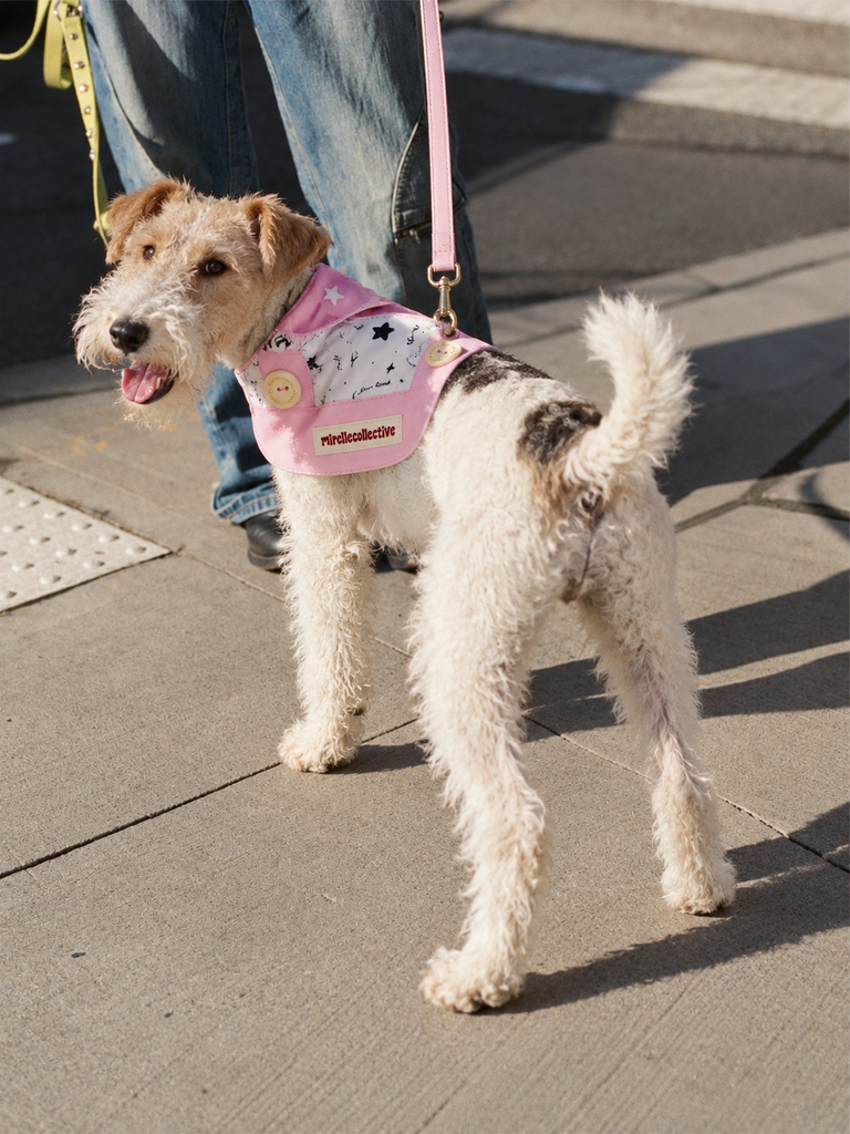From Vintage Embroidery to Modern Pet Fashion: A Guide to Fabrics, Textures & Timeless Details