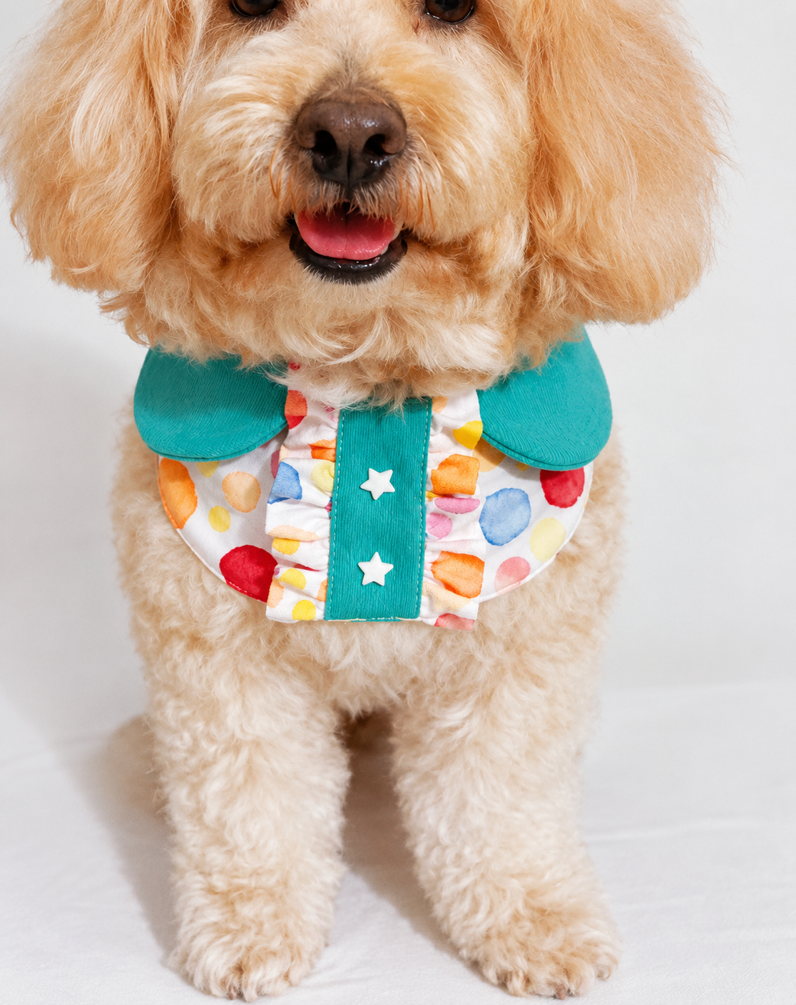 Confetti Bloom Party Pet Bandana