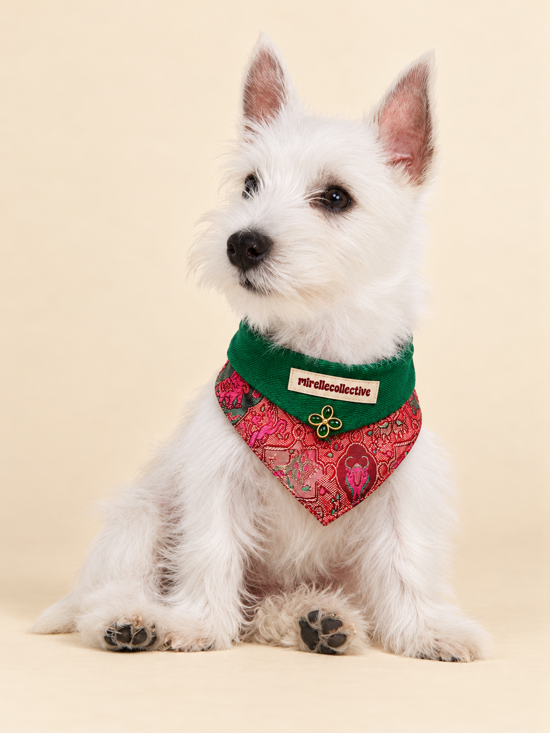 Vintage Garden Embroidered Pet Cape