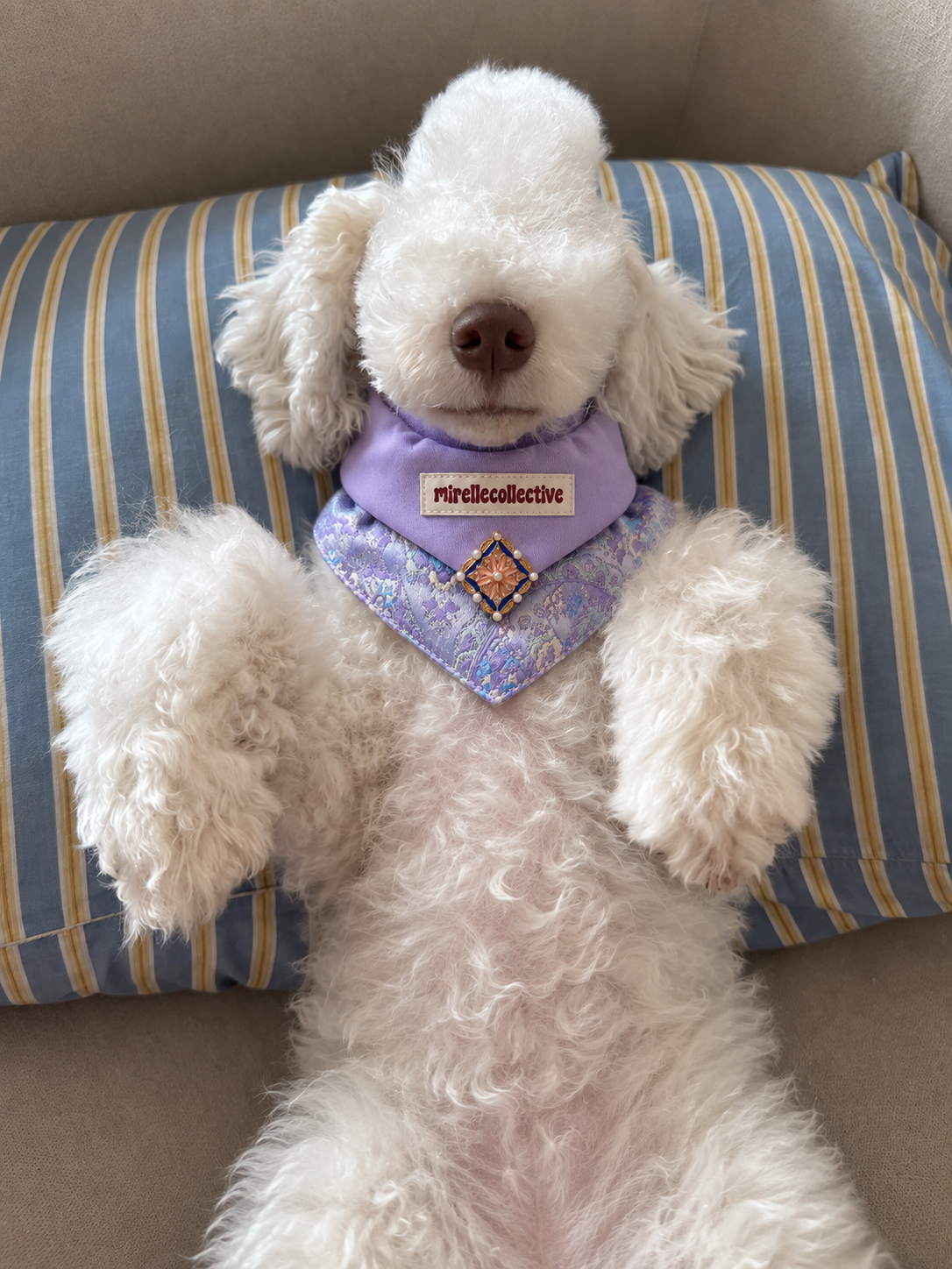 Royal Bloom Embroidered Pet Bandana