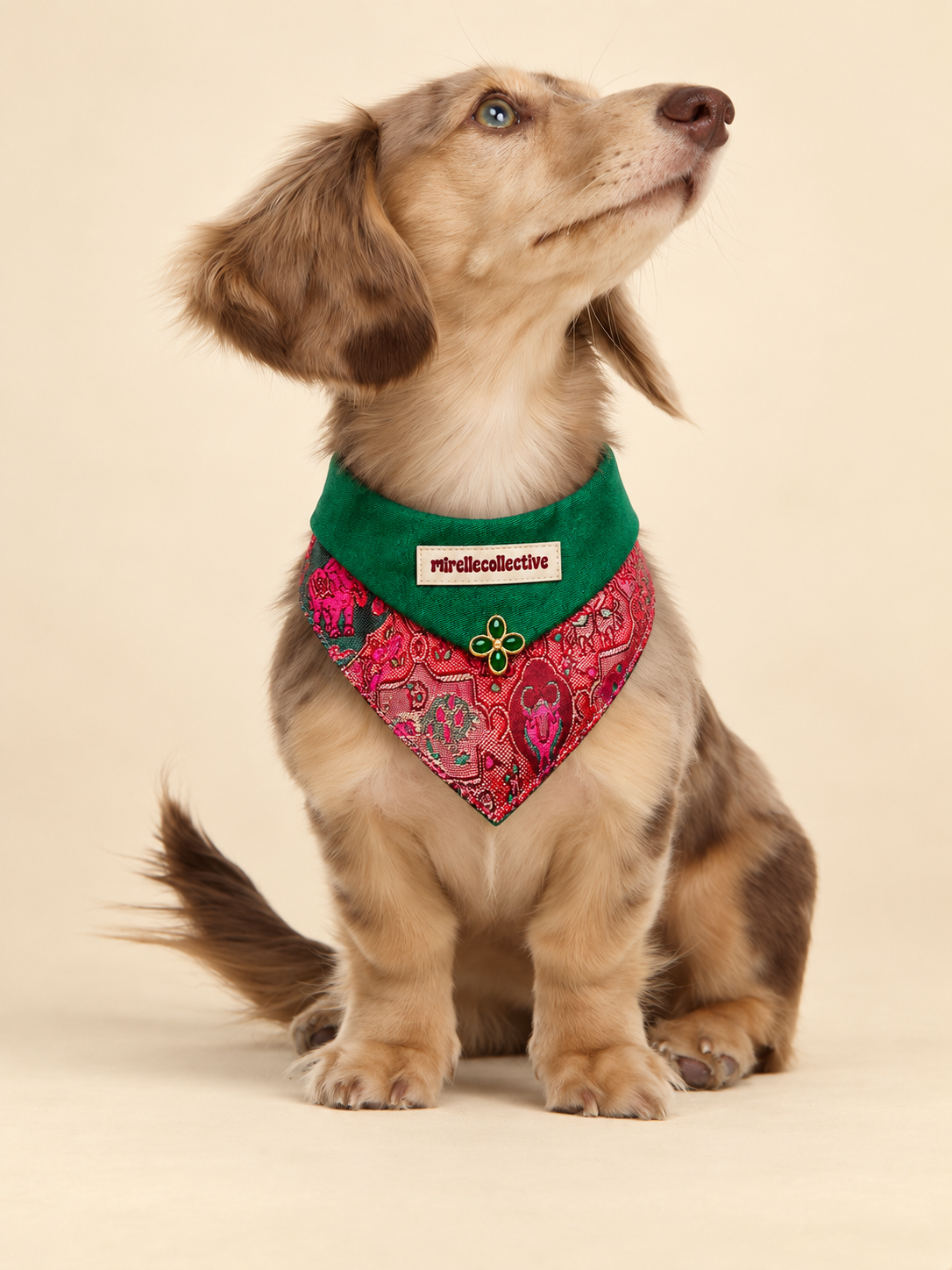 Vintage Garden Embroidered Pet Cape