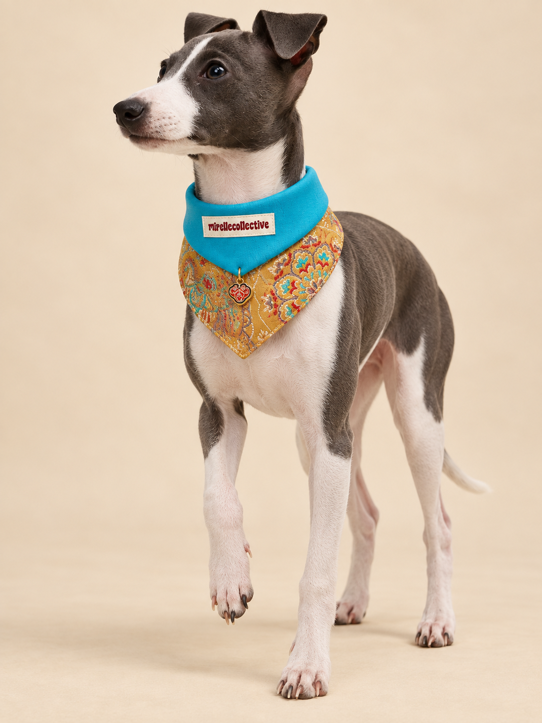 Golden Meadow Embroidered Pet Bandana